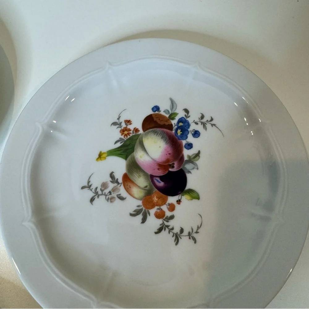 VOHENSTRAUSS-Johann Seltmann-Bavarian Germany Botanical Fruit salad plates